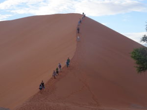 Africa, Namibia, dunes, landscape, arid, desert, clients, trekking