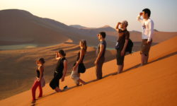 Namibia, Sossusvlei, Dunes, landscape, sand, nature, tourists, standing in line, watching