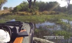 Desert, Okavango, Delta, Game, Truck, Drive, Wildlife, Wetlands