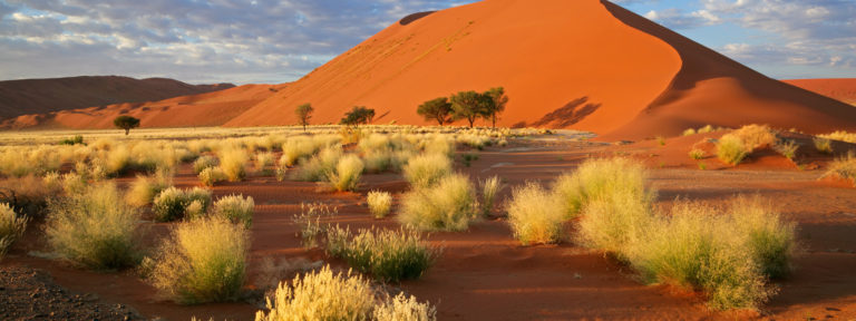 Africa, Namiba, Sossusvlei, Dune, landscape, red sand, nature, plants, trees, green, shadow